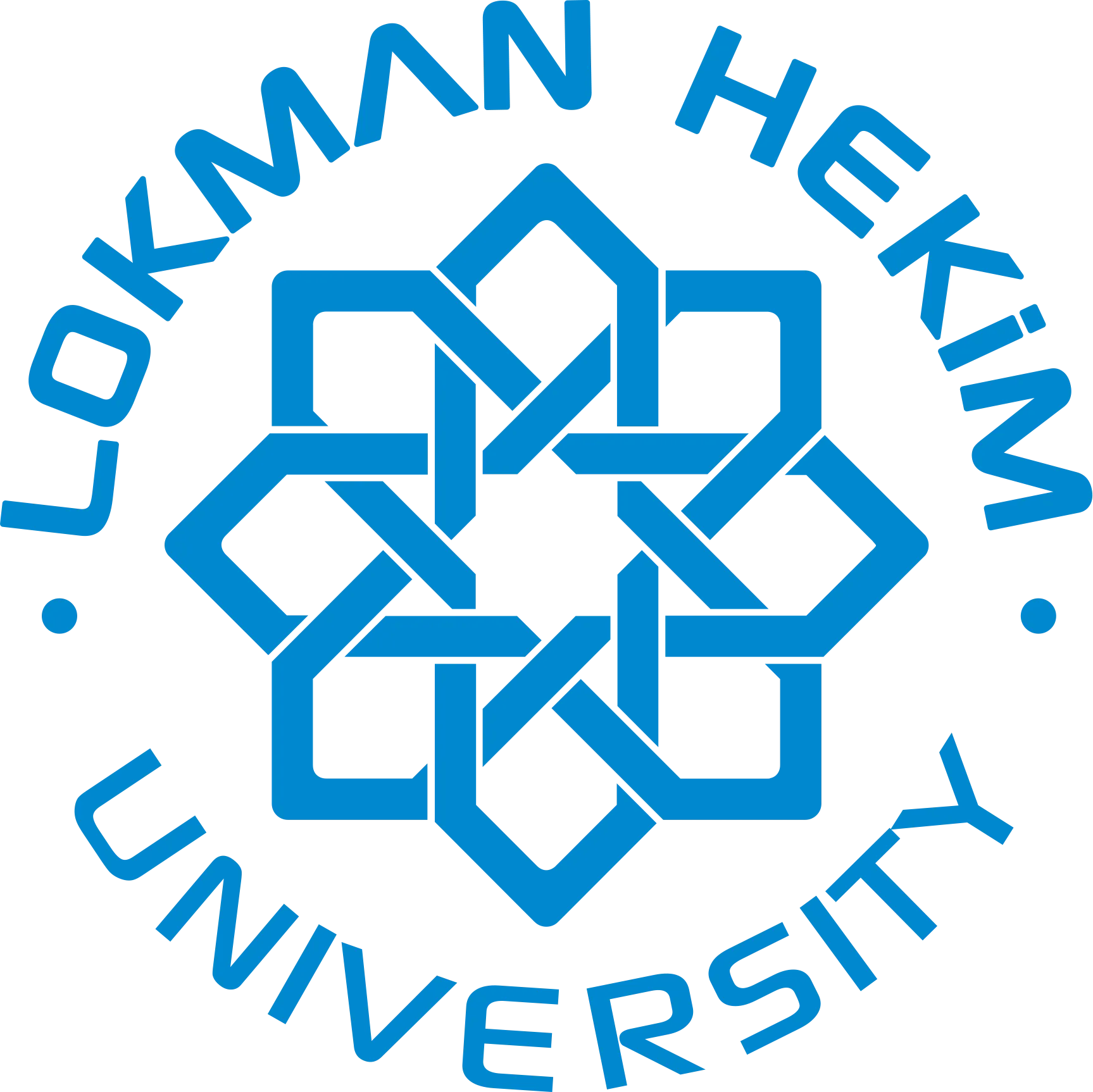 Lokman Hekim University